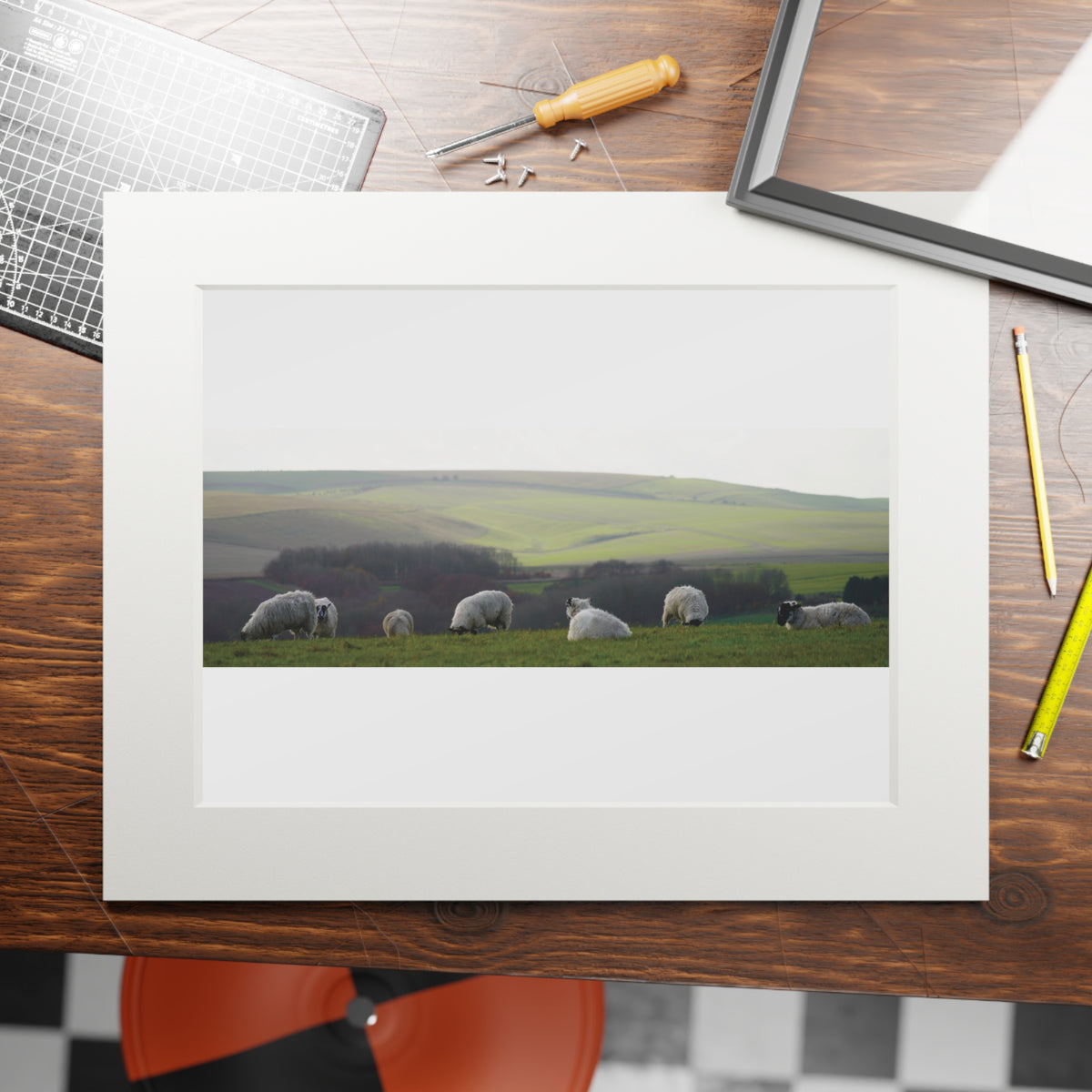 Sitting Sheep - Avebury | Fine Art Print with Passepartout Paper Frame