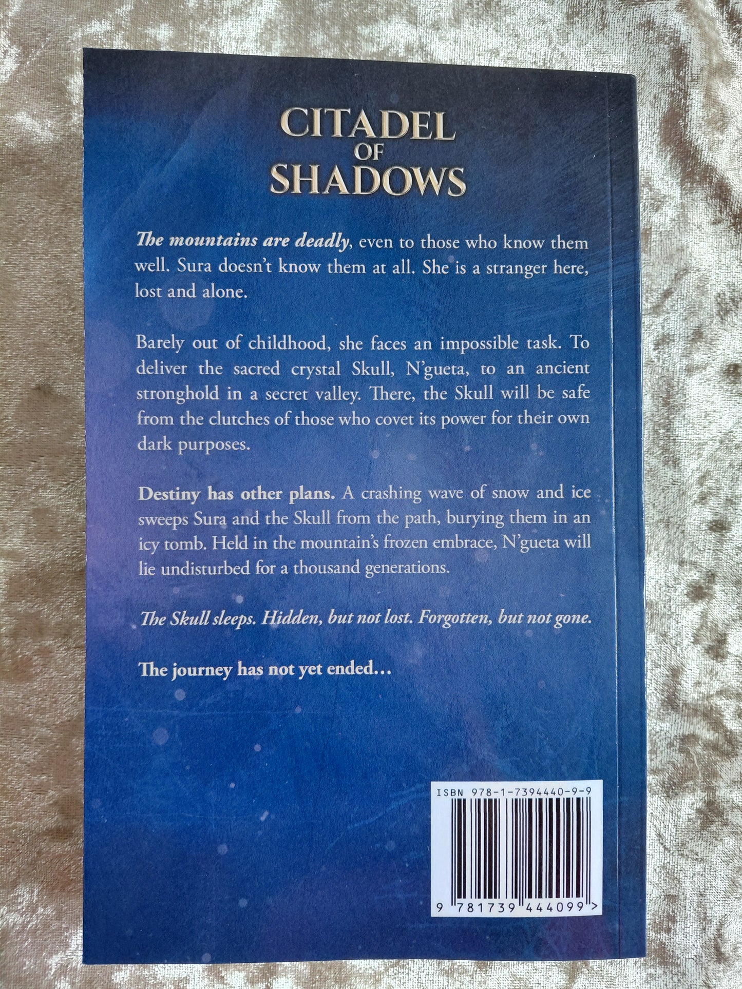 Citadel of Shadows (The Skull Chronicles 7)