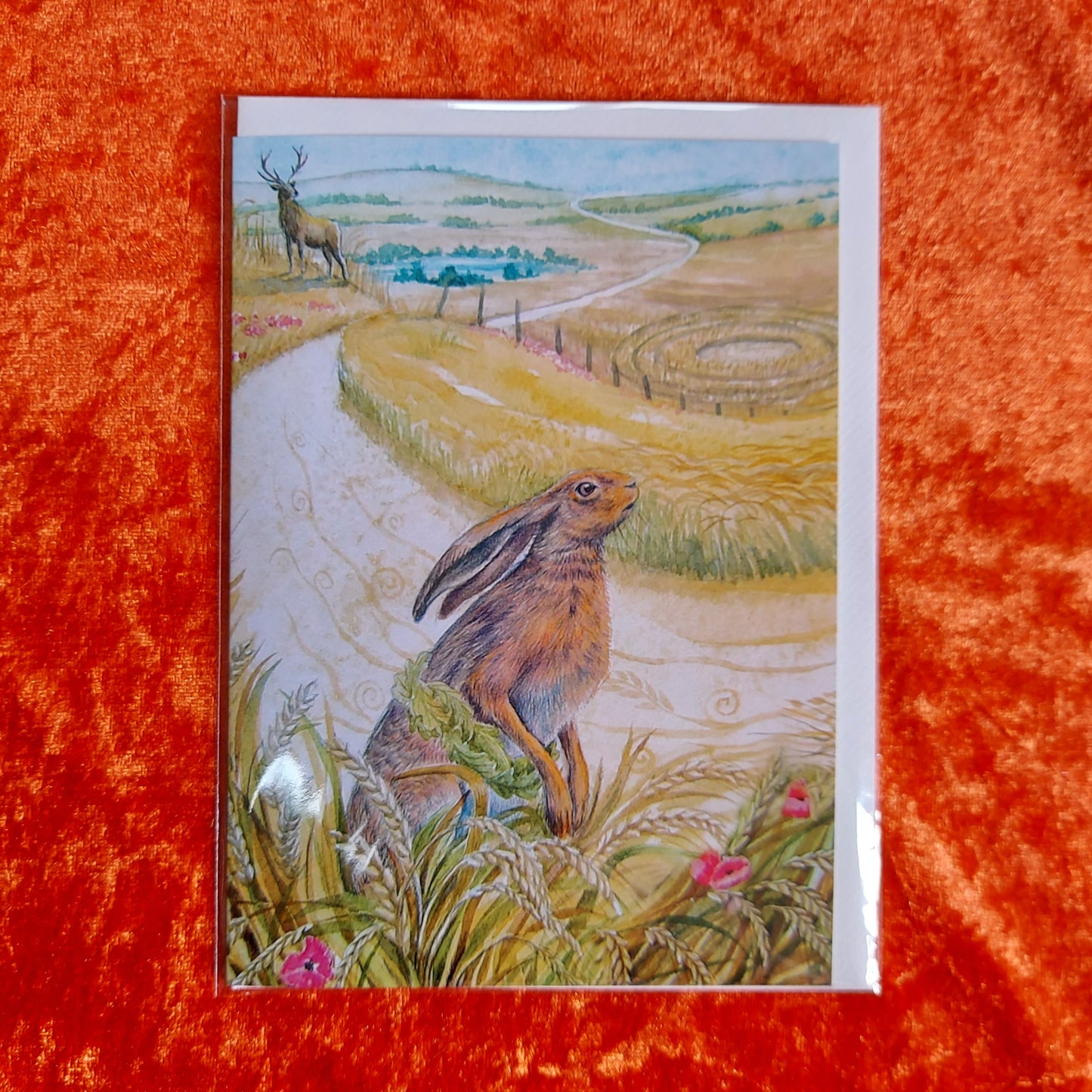 Wendy Andrew - Harvest Hare