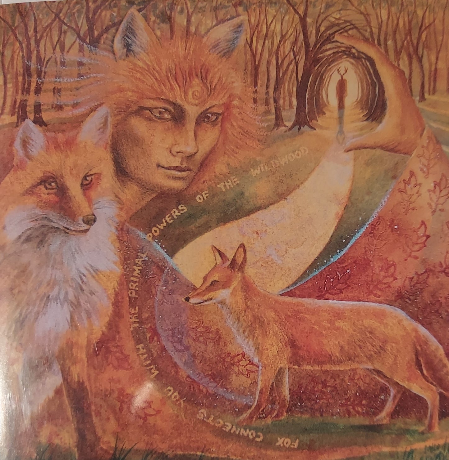 Wendy Andrew - Fox Maiden