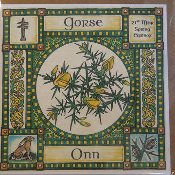 Gorse - 21st March - Spring Equinox