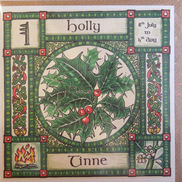 Holly - 8th July - 4th Aug.