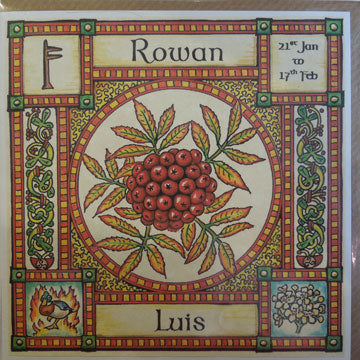 Rowan - 21st Jan - 17th Feb