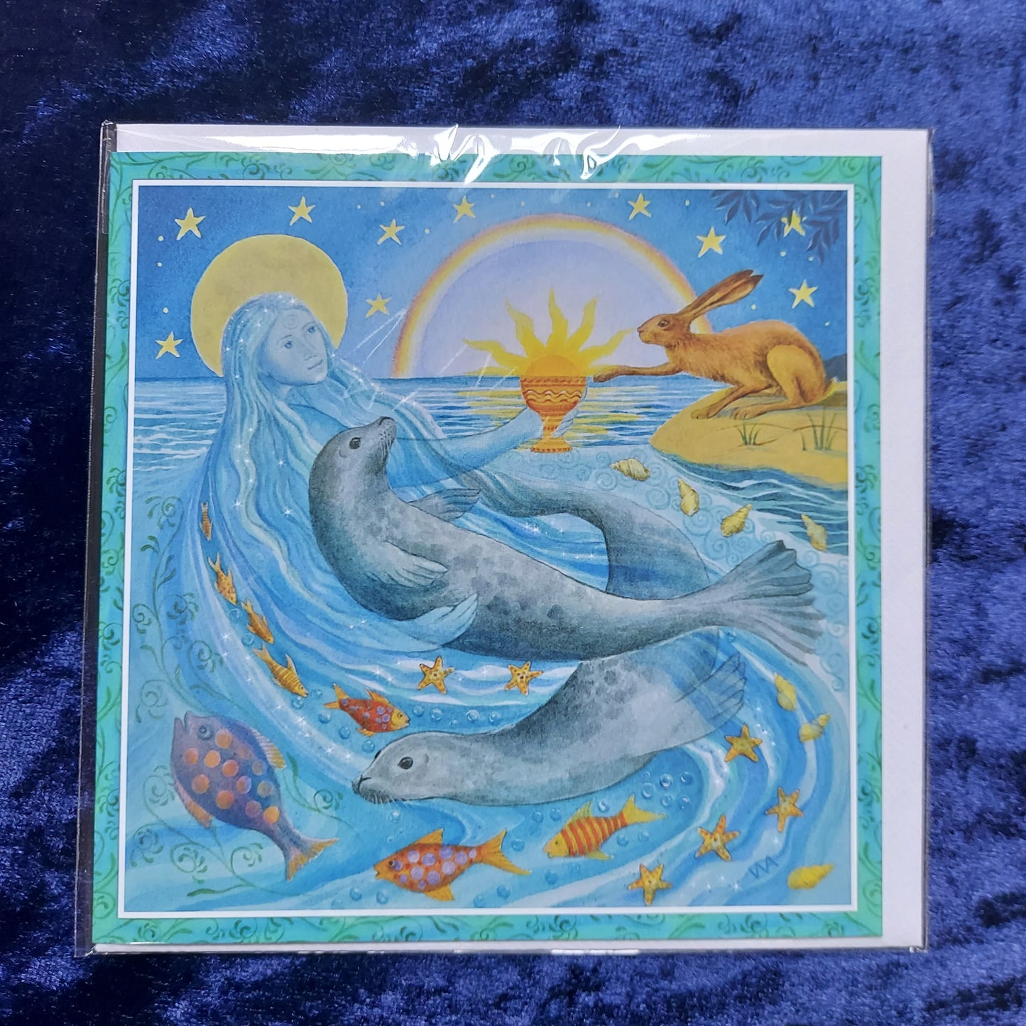 Wendy Andrew - Summer Solstice