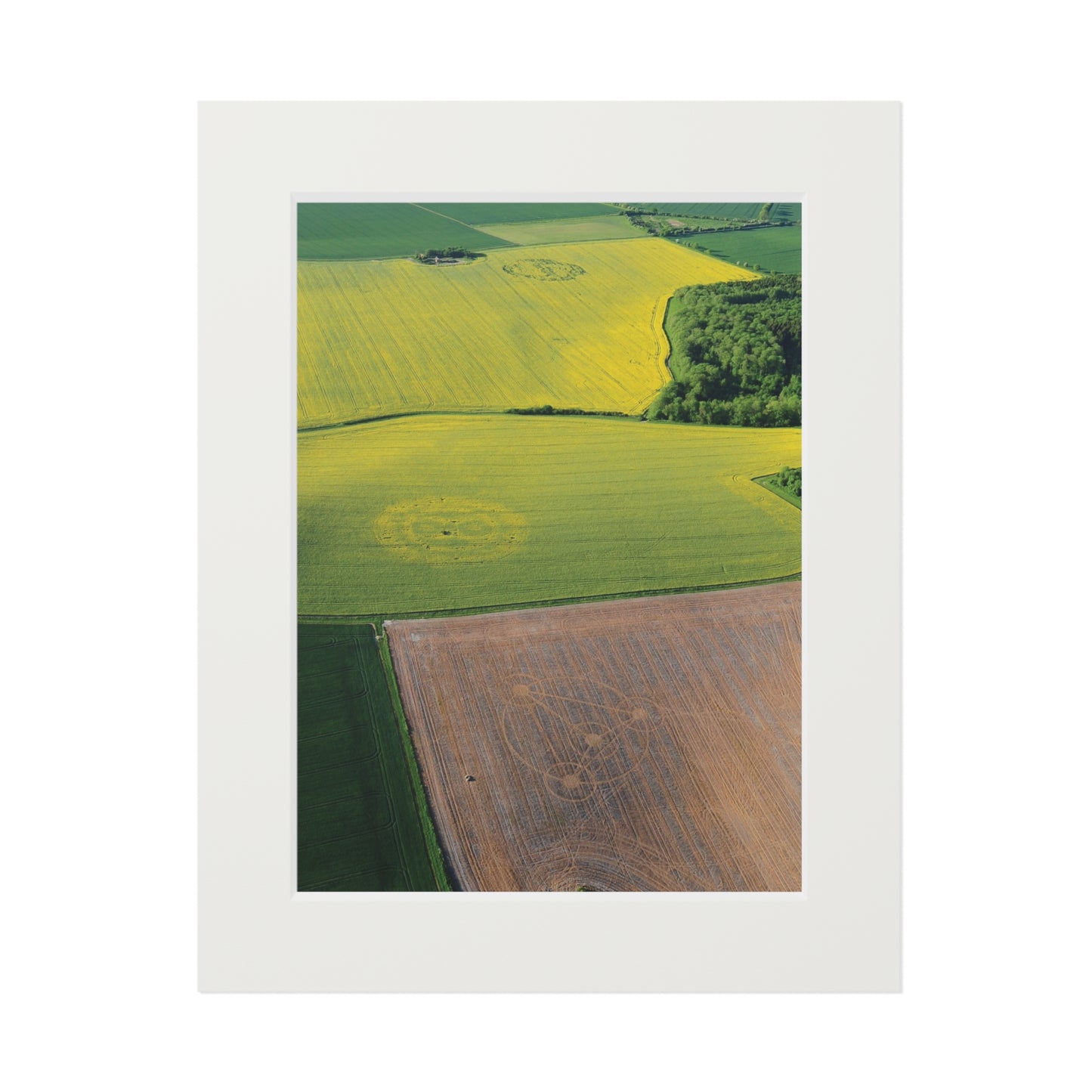 Woodborough Hill, Three Phantom Crop Circles – 2010 | Fine Art Print with Passepartout Paper Frame