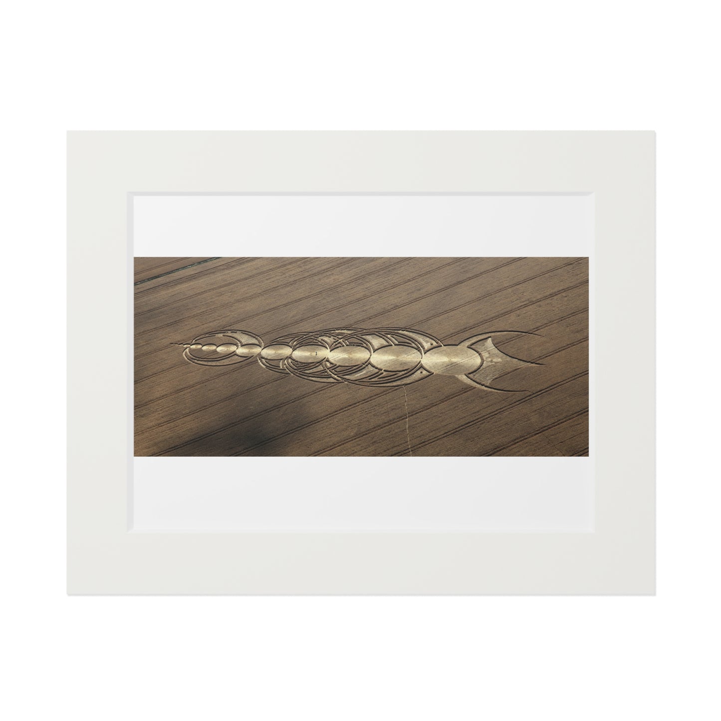 Avebury, East Field Crop Circle  - 2010 | Fine Art Print with Passepartout Paper Frame