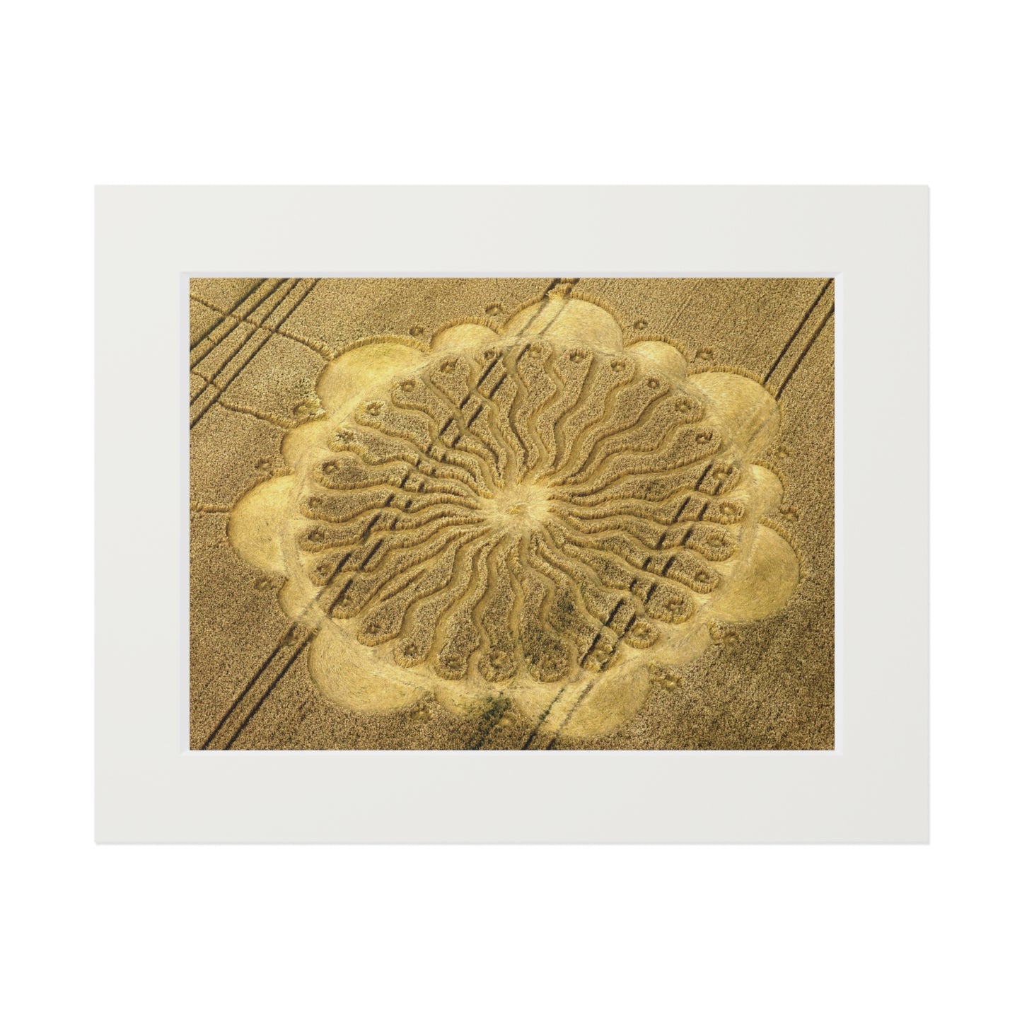 Waden Hill Crop Circle  - 2009 | Fine Art Print with Passepartout Paper Frame