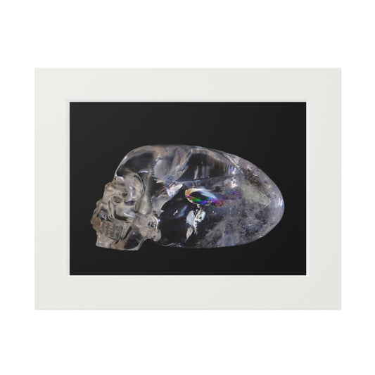 Rainbow Quarts Skull -  Fine Art Print and Passepartout Paper Frame