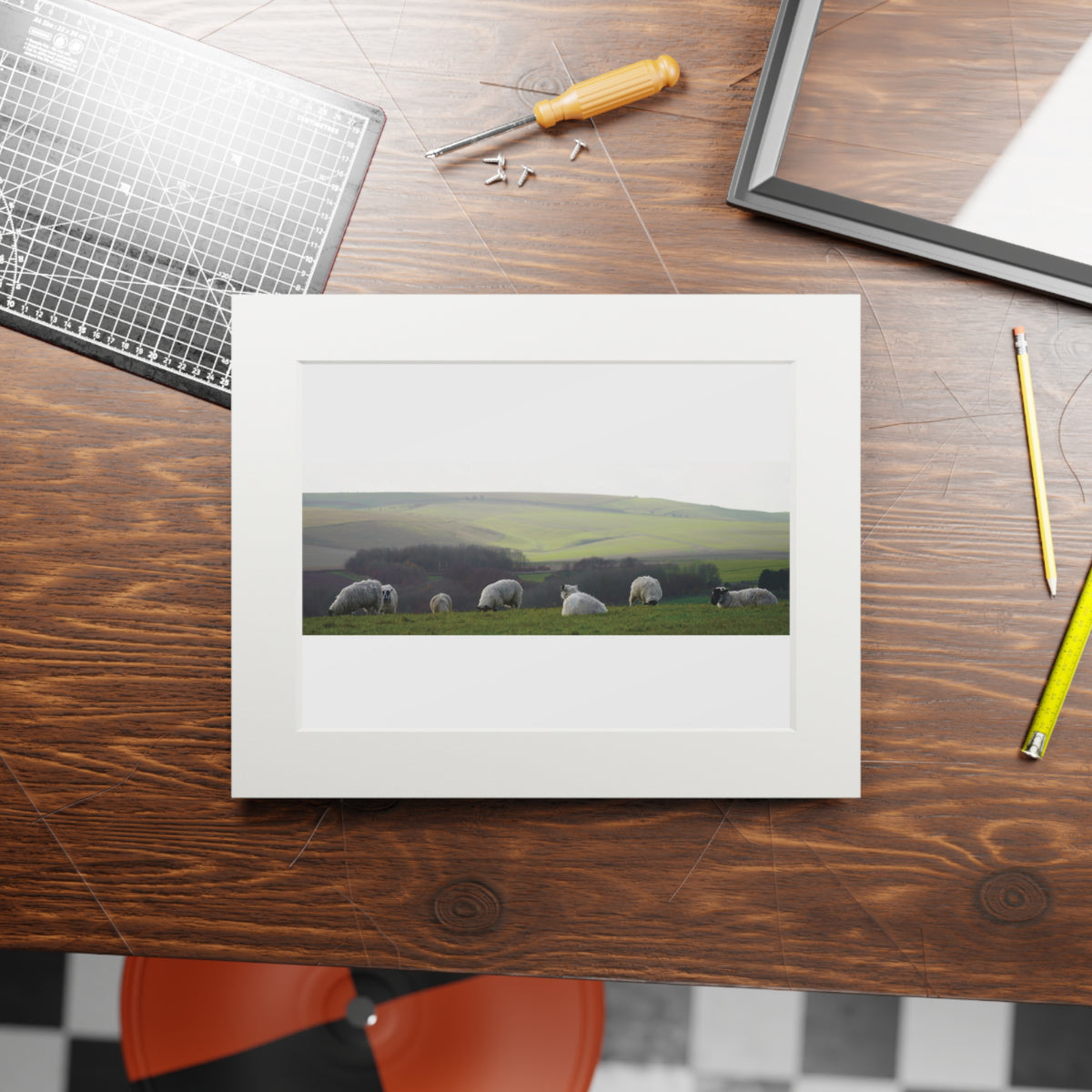 Sitting Sheep - Avebury | Fine Art Print with Passepartout Paper Frame