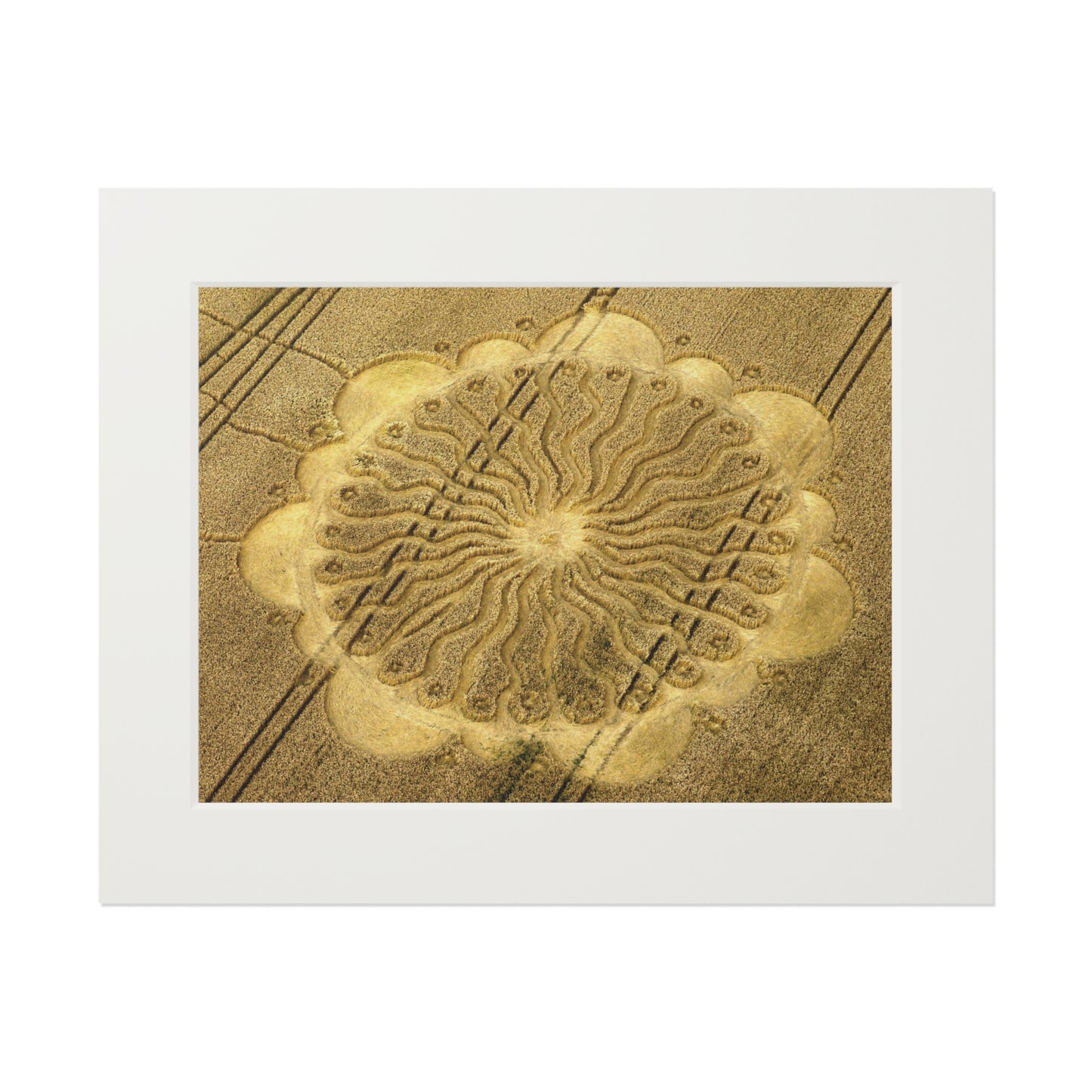 Waden Hill Crop Circle  - 2009 | Fine Art Print with Passepartout Paper Frame