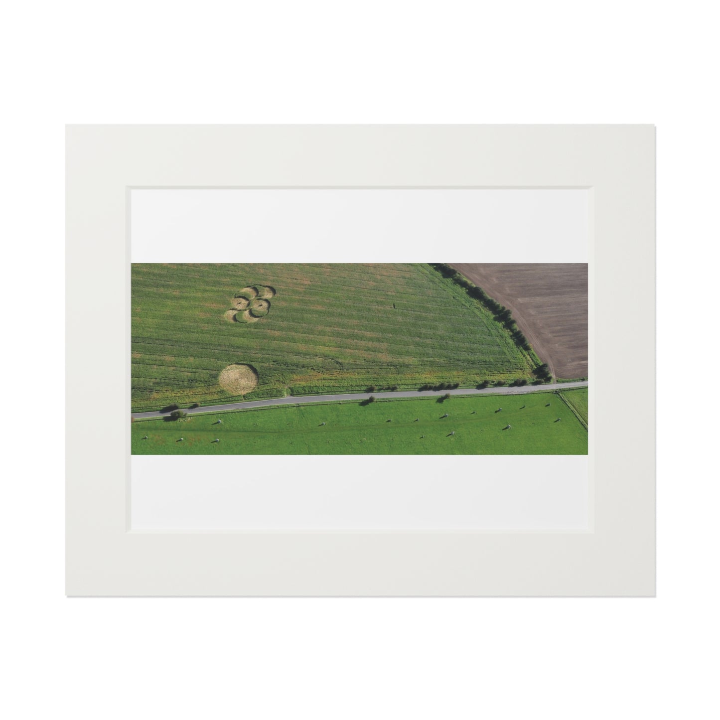 Avebury Avenue Crop Circle  - 2008 | Fine Art Print with Passepartout Paper Frame