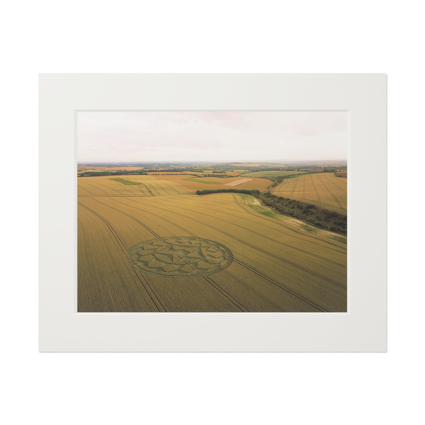 Cheesefoot Head, near Winchester, Hampshire – 2020 | Fine Art Print with Passepartout Paper Frame