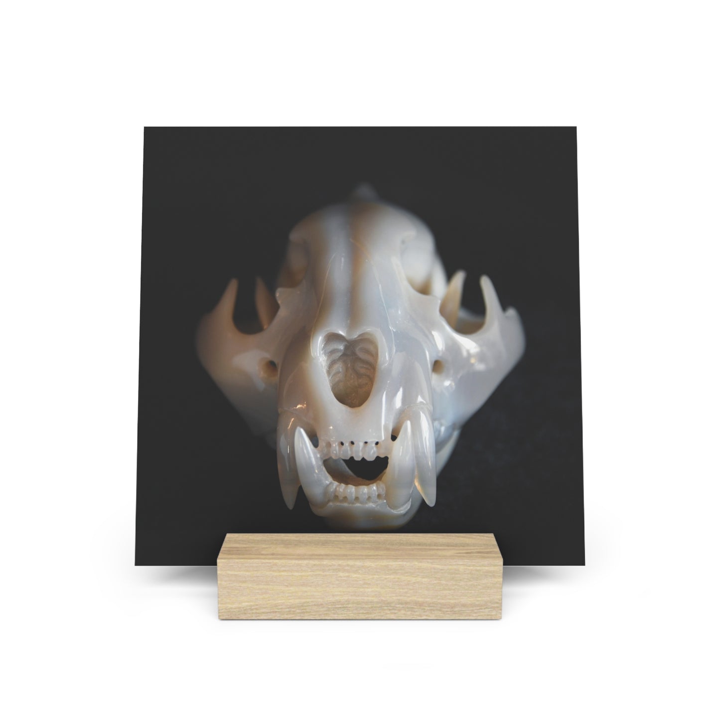 Agate Jaguar Skull - Print with Wooden Stand
