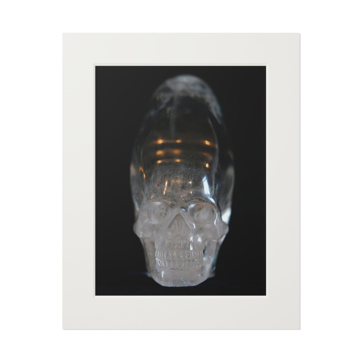 Elongated  Skull   -  Fine Art Print and Passepartout Paper Frame