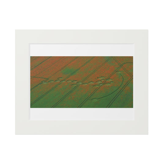 Rockley Crop Circle  - 2012 | Fine Art Print with Passepartout Paper Frame