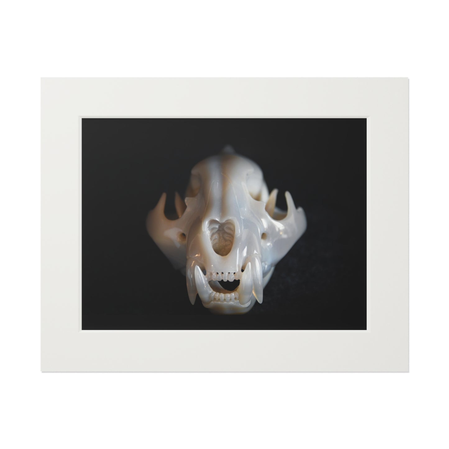 Agate Jaguar Skull  -  Fine Art Print and Passepartout Paper Frame