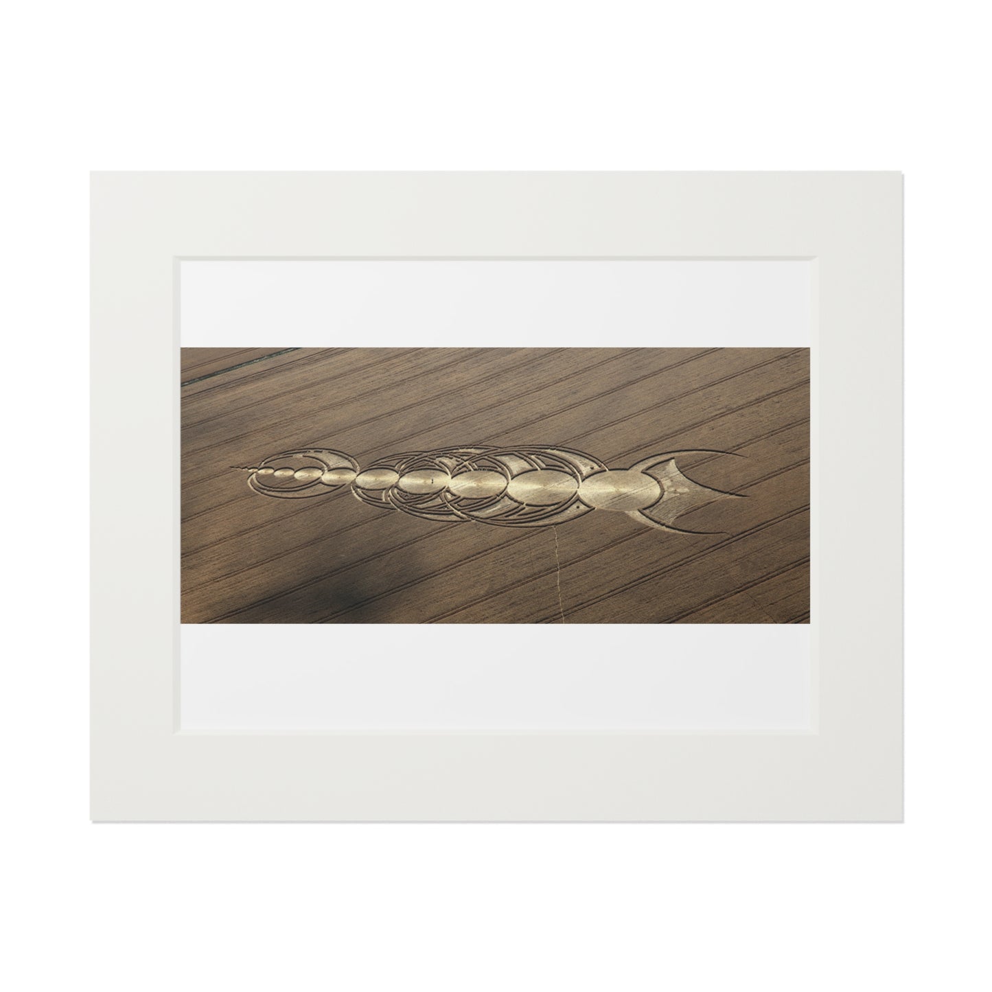 Avebury, East Field Crop Circle  - 2010 | Fine Art Print with Passepartout Paper Frame