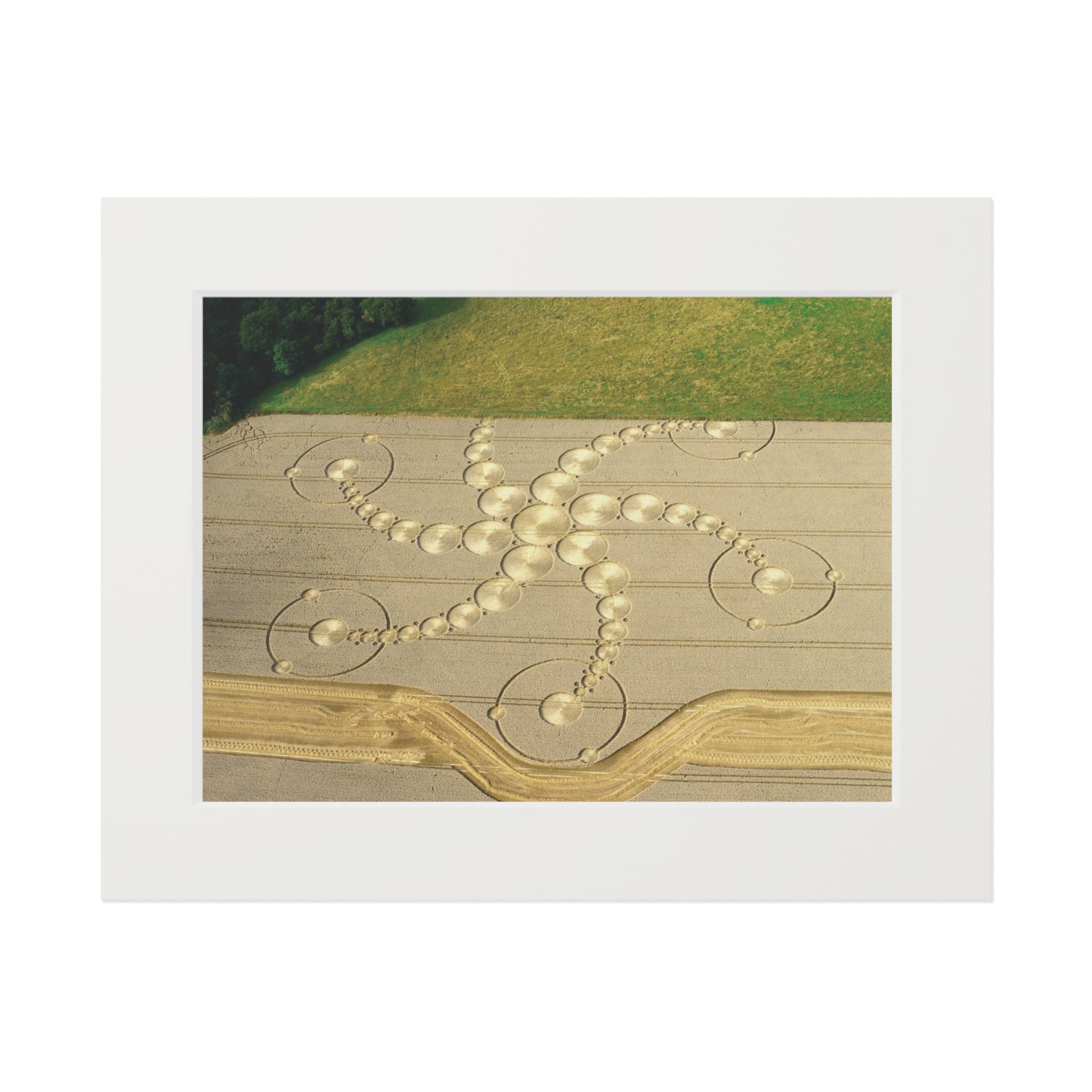 Martinsell Hill Crop Circle – 2009 | Fine Art Print with Passepartout Paper Frame