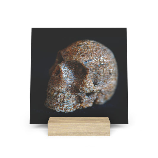 Whale Bone Skull - Print with Wooden Stand