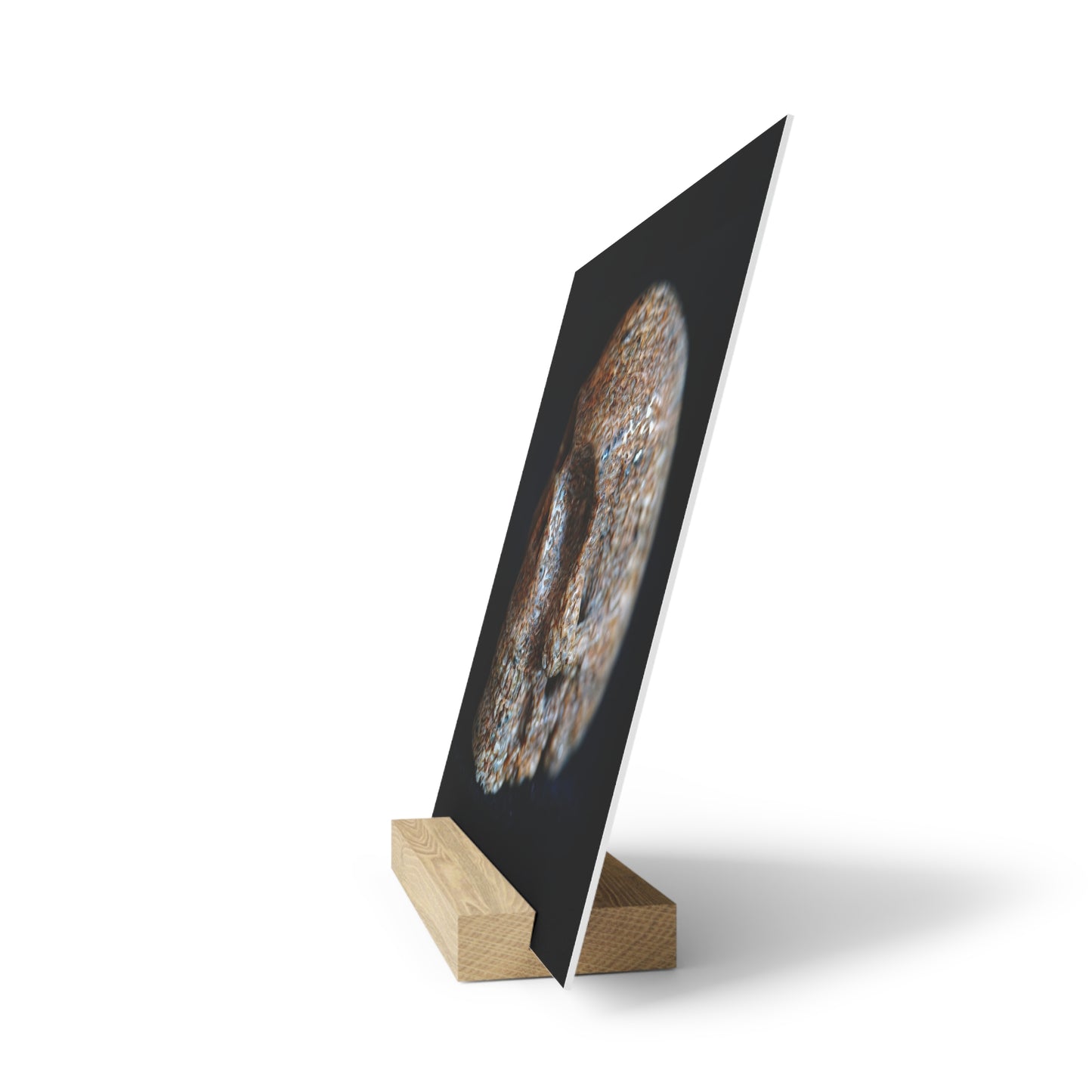 Whale Bone Skull - Print with Wooden Stand