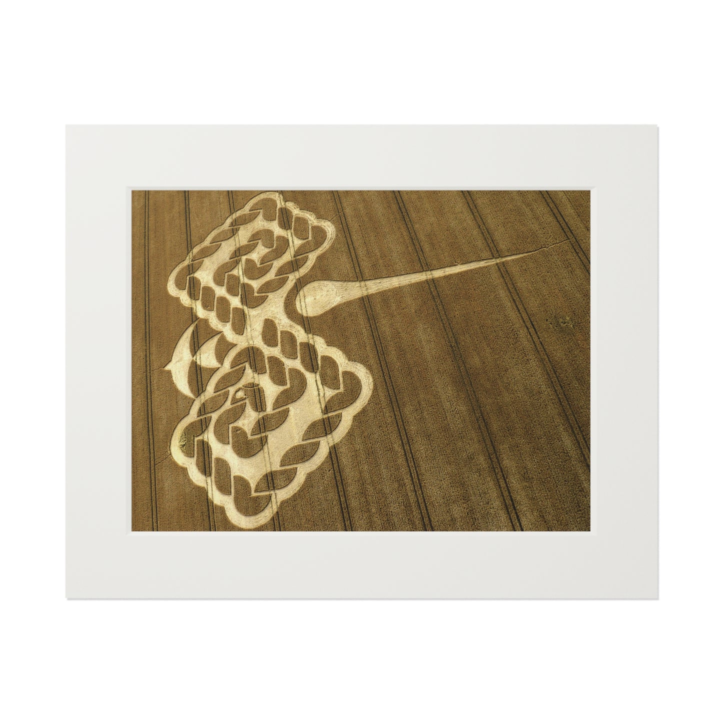 Beckhampton Crop Circle  - 2009 | Fine Art Print with Passepartout Paper Frame