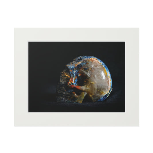 Pietersite Skull - Fine Art Print and Passepartout Paper Frame