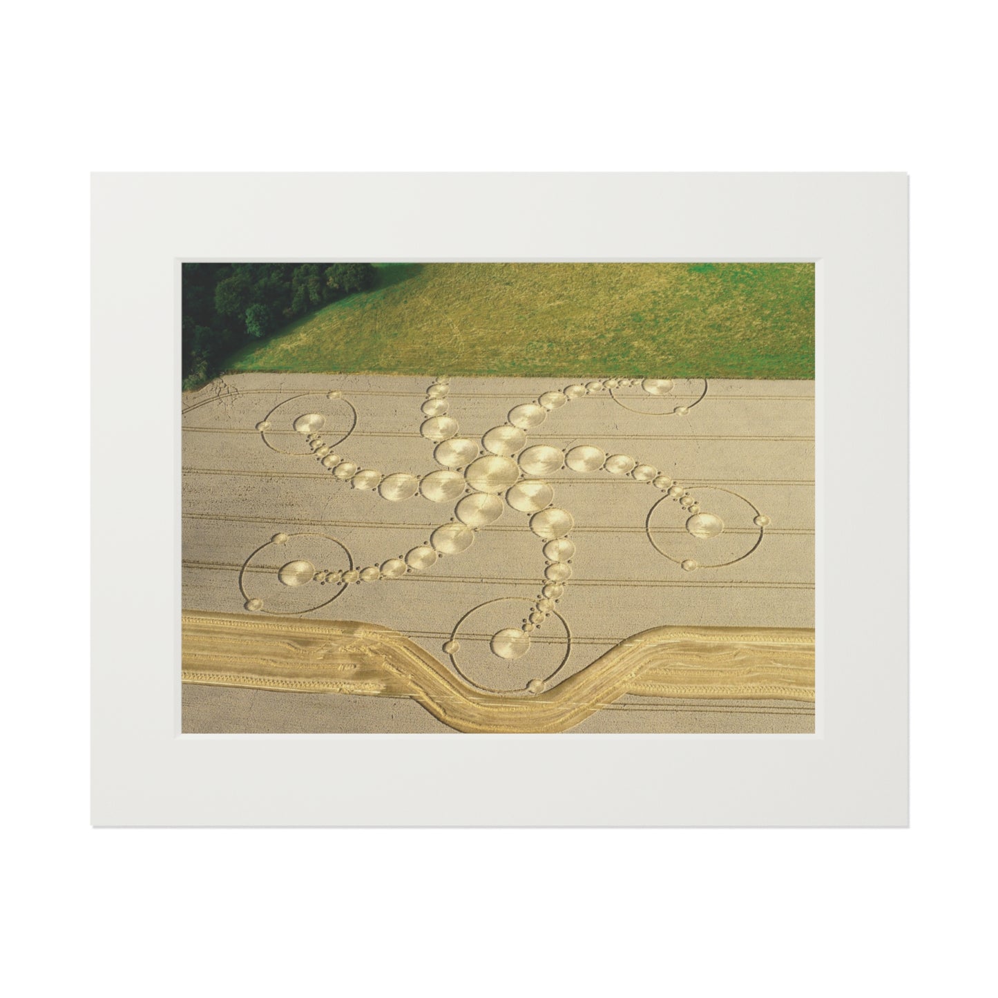 Martinsell Hill Crop Circle – 2009 | Fine Art Print with Passepartout Paper Frame