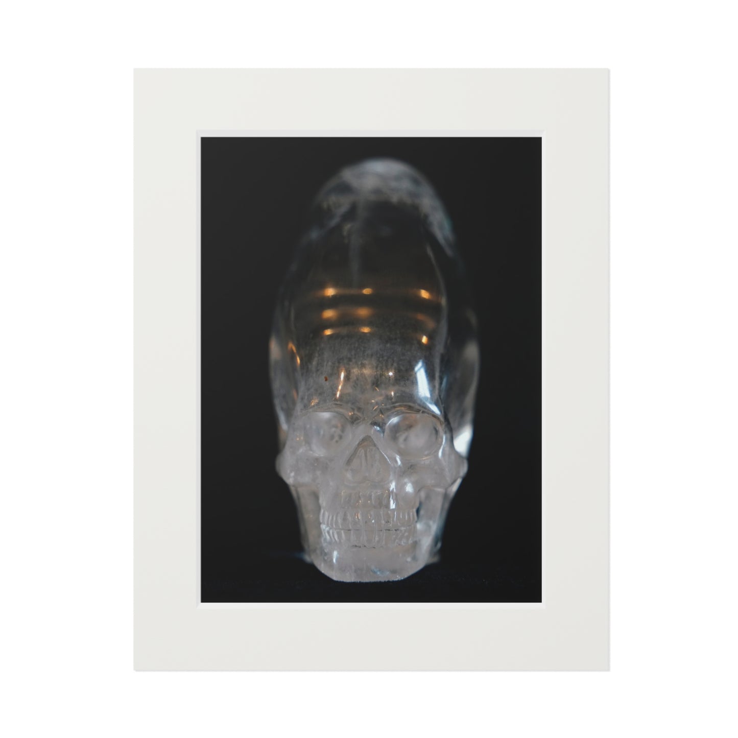 Elongated  Skull   -  Fine Art Print and Passepartout Paper Frame