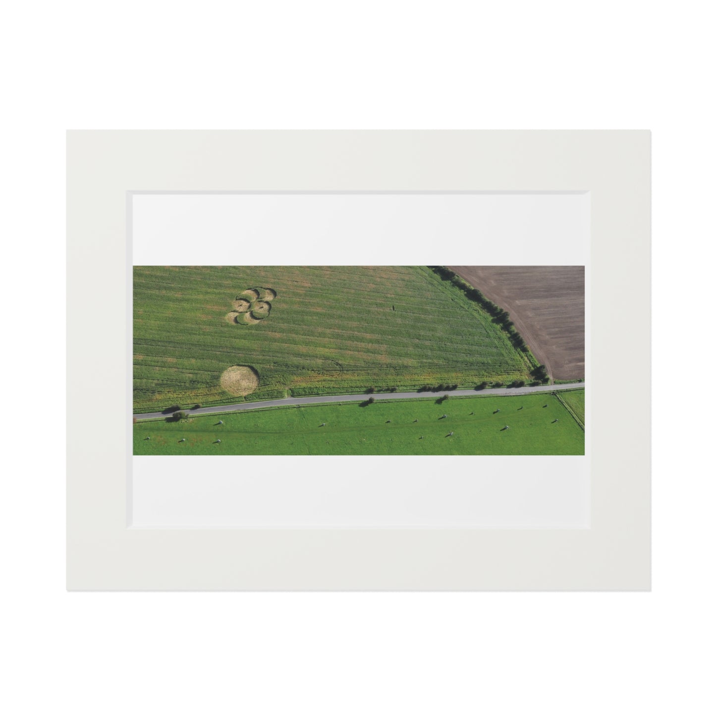 Avebury Avenue Crop Circle  - 2008 | Fine Art Print with Passepartout Paper Frame