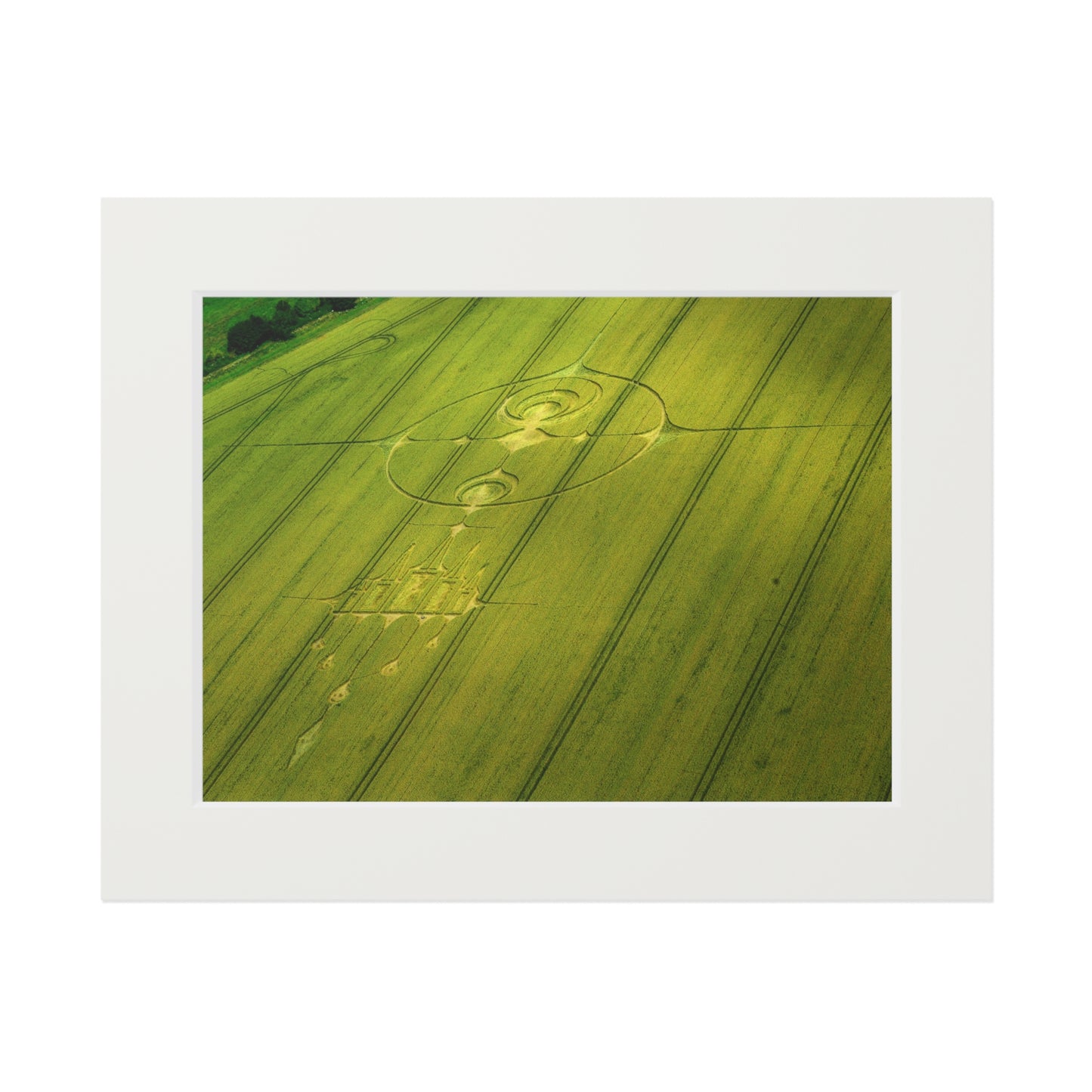 Stanton Step Crop Circle  - 2012 | Fine Art Print with Passepartout Paper Frame
