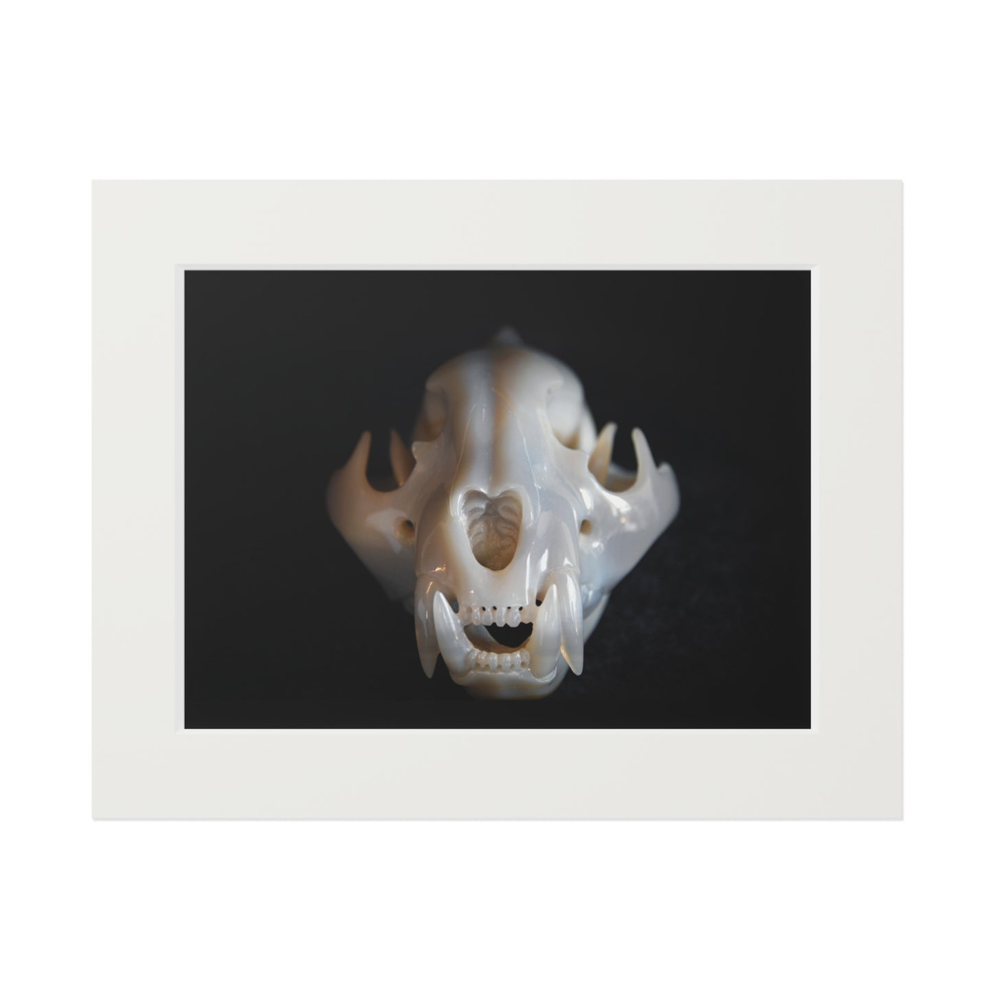 Agate Jaguar Skull  -  Fine Art Print and Passepartout Paper Frame