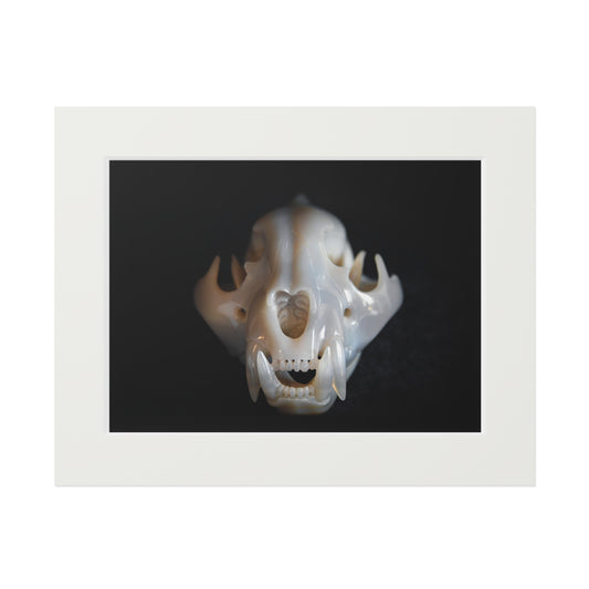 Agate Jaguar Skull  -  Fine Art Print and Passepartout Paper Frame