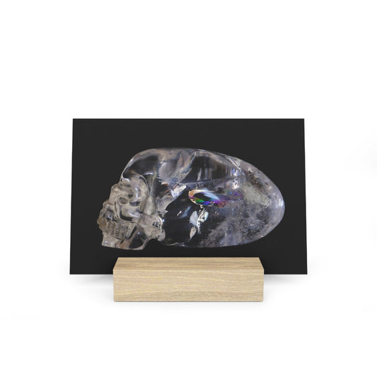 Rainbow Quartz Skull - Print with Wooden Stand