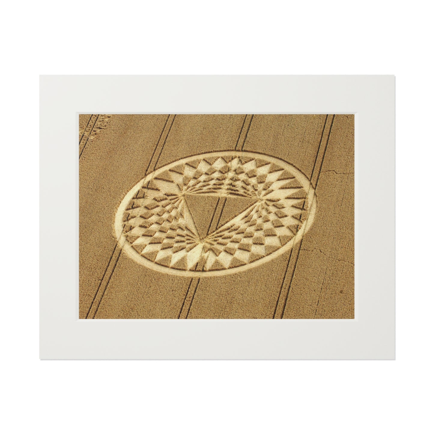 Aldbourne Crop Circle - Wiltshire – 2005 | Fine Art Print with Passepartout Paper Frame