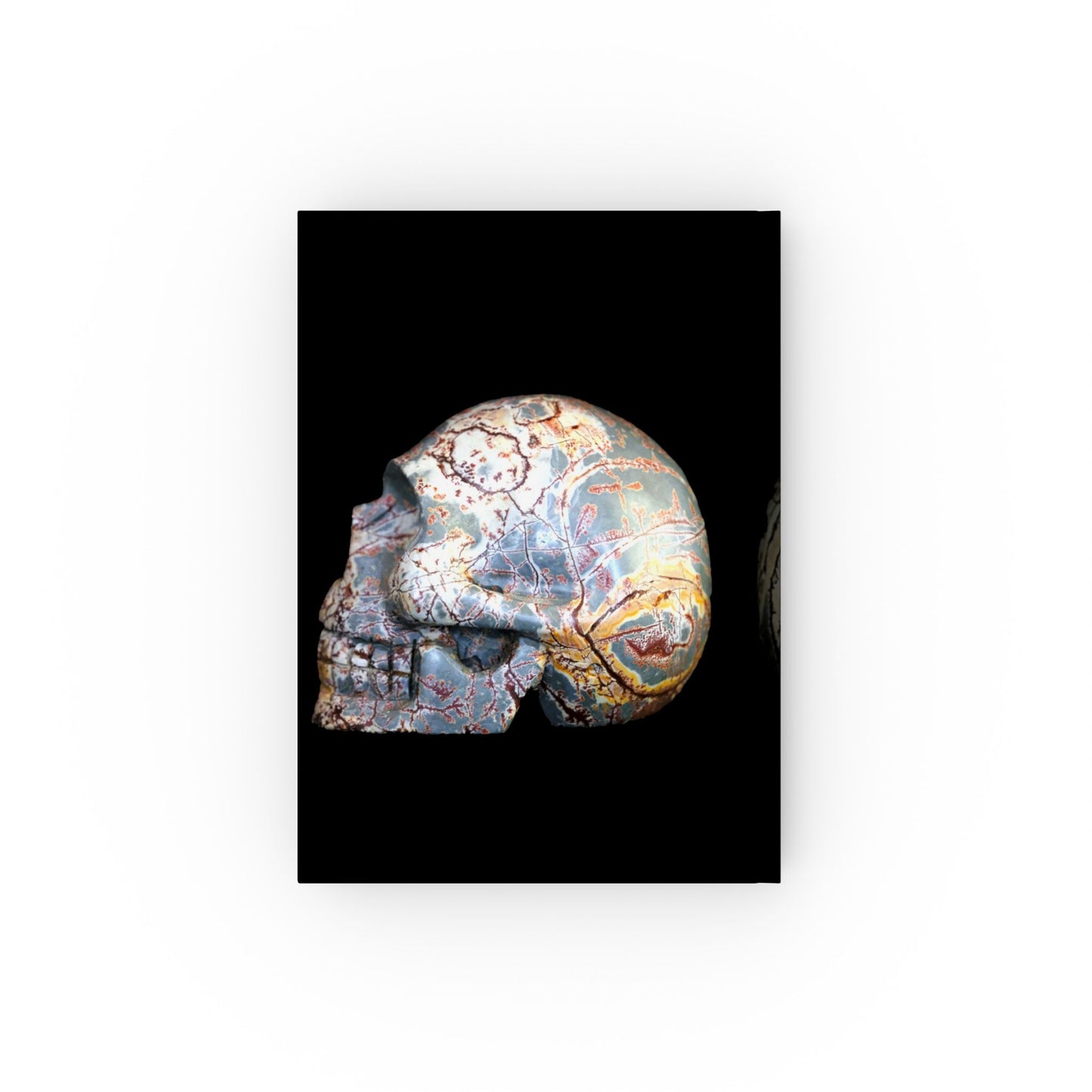 Dendritic Skull Notebook