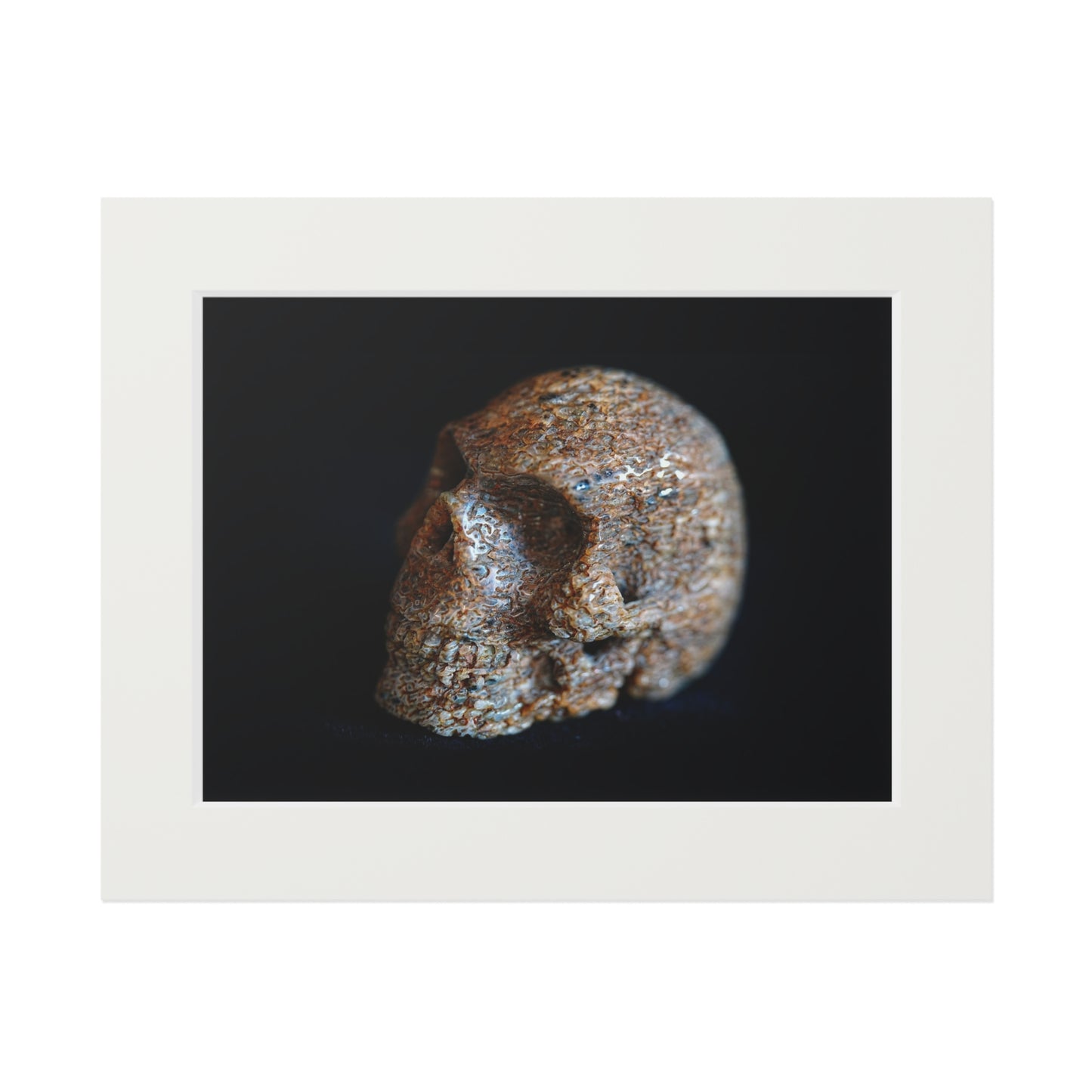 Whale Bone Skull  -  Fine Art Print and Passepartout Paper Frame