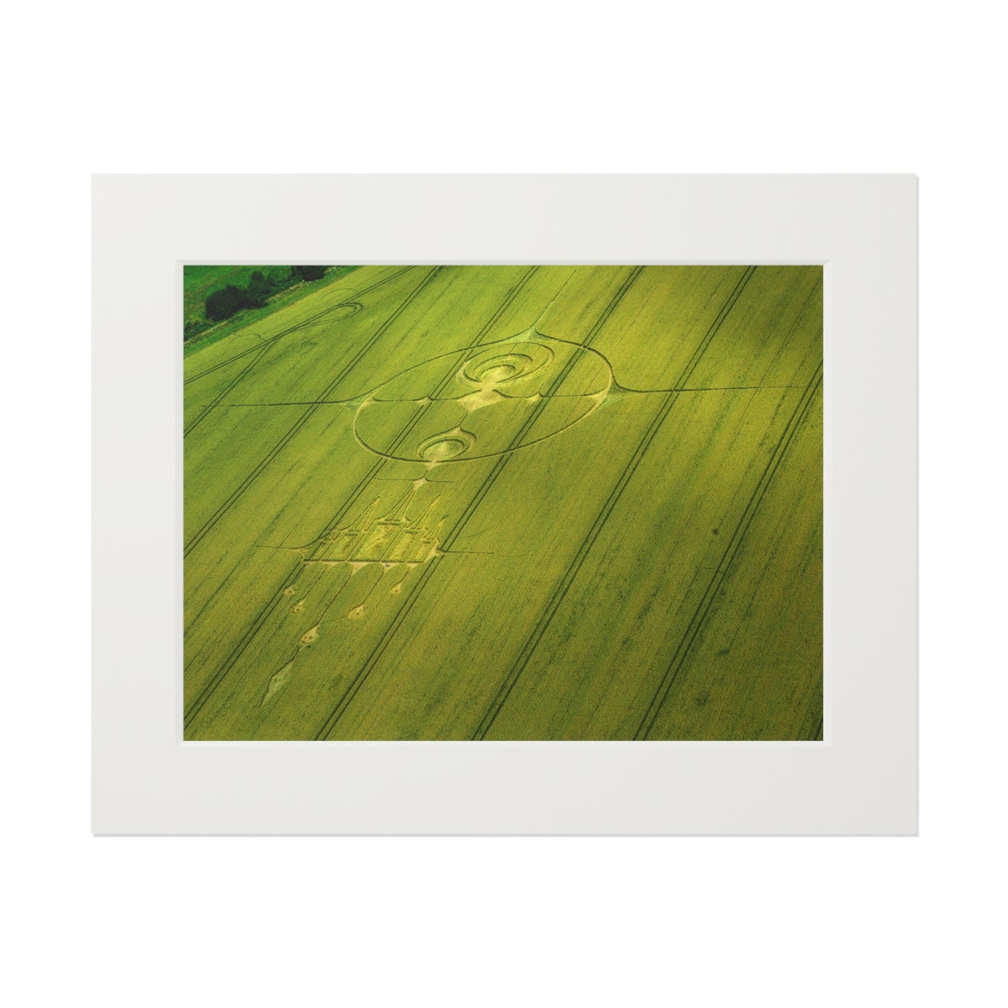 Stanton Step Crop Circle  - 2012 | Fine Art Print with Passepartout Paper Frame