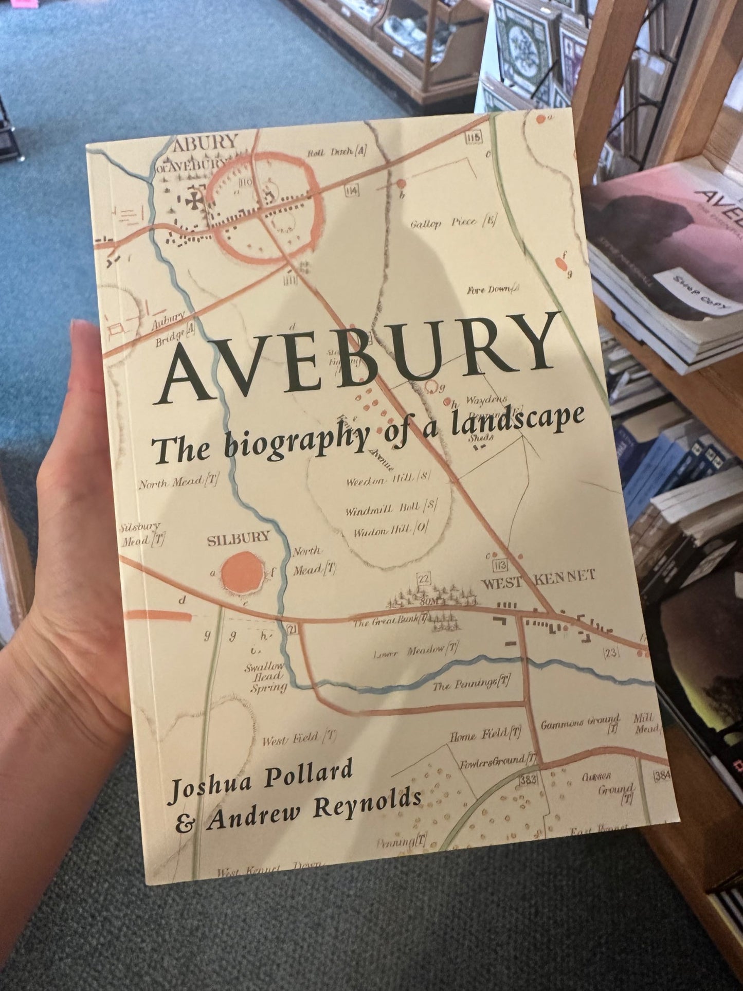 Avebury: The Biography of the Landscape
