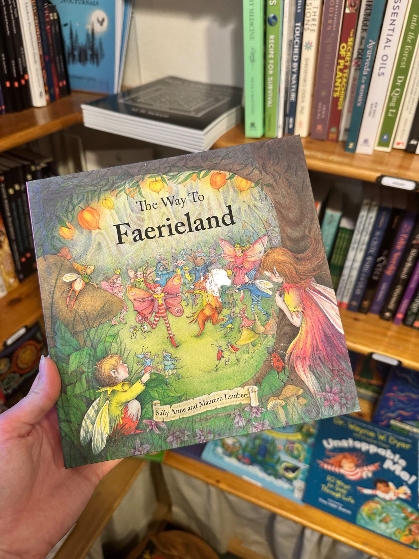 The Way To Faerieland Book