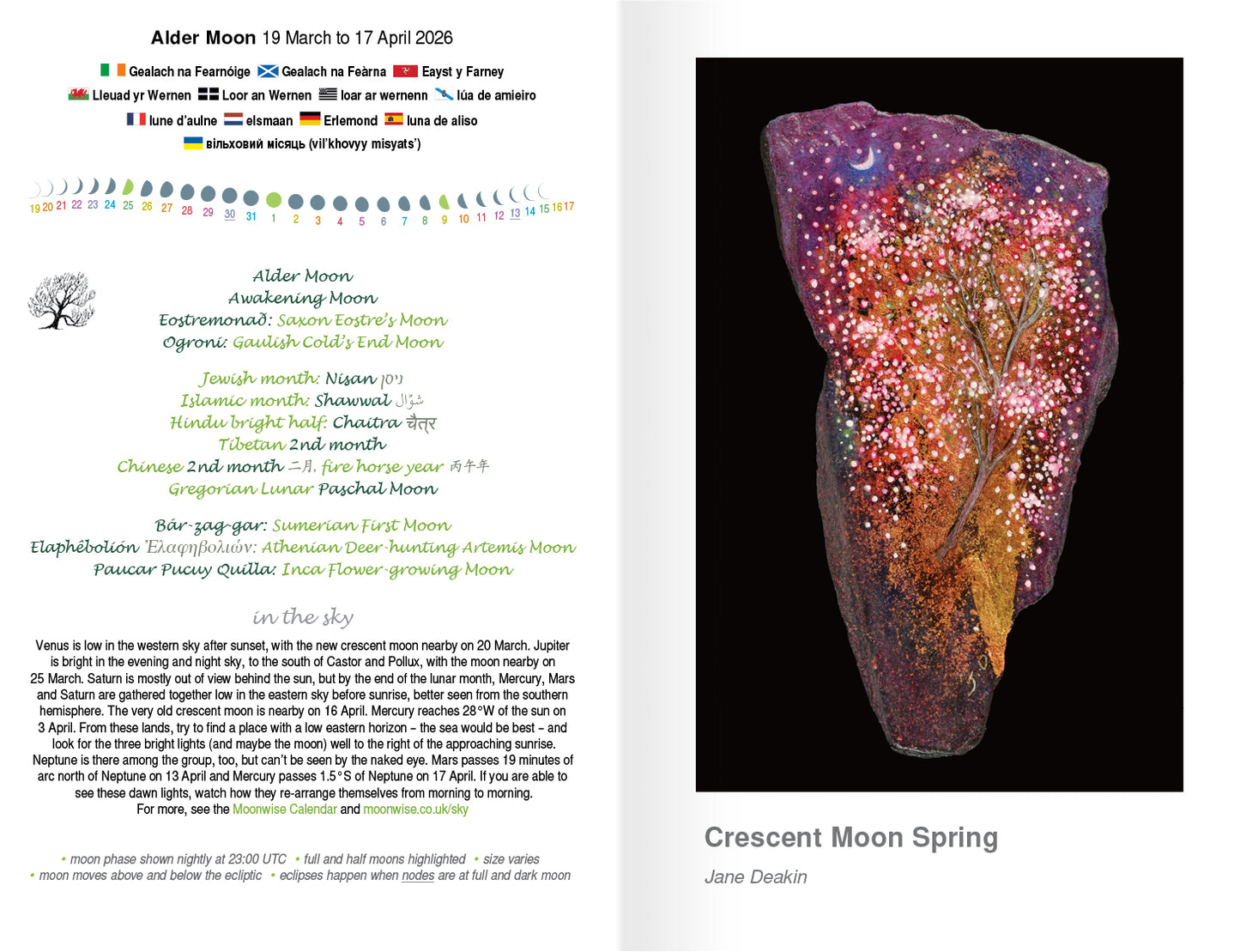 Moonwise Diary 2026