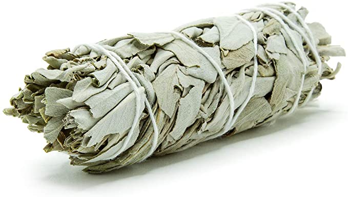 California White Sage