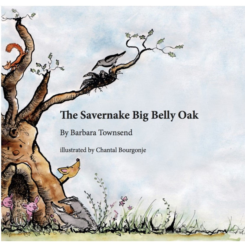 The Savernake Big Belly Oak