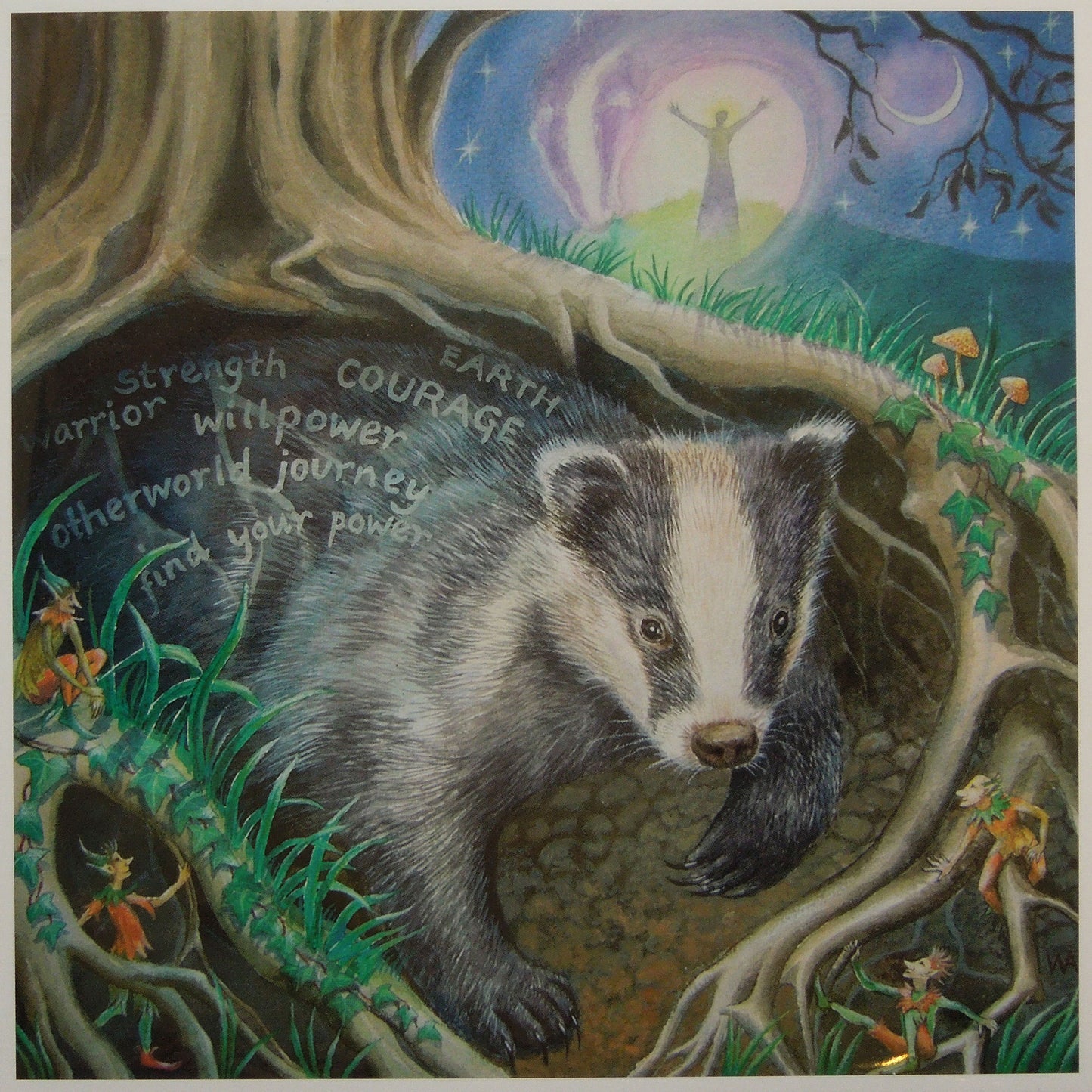 Wendy Andrew - Calling Badger