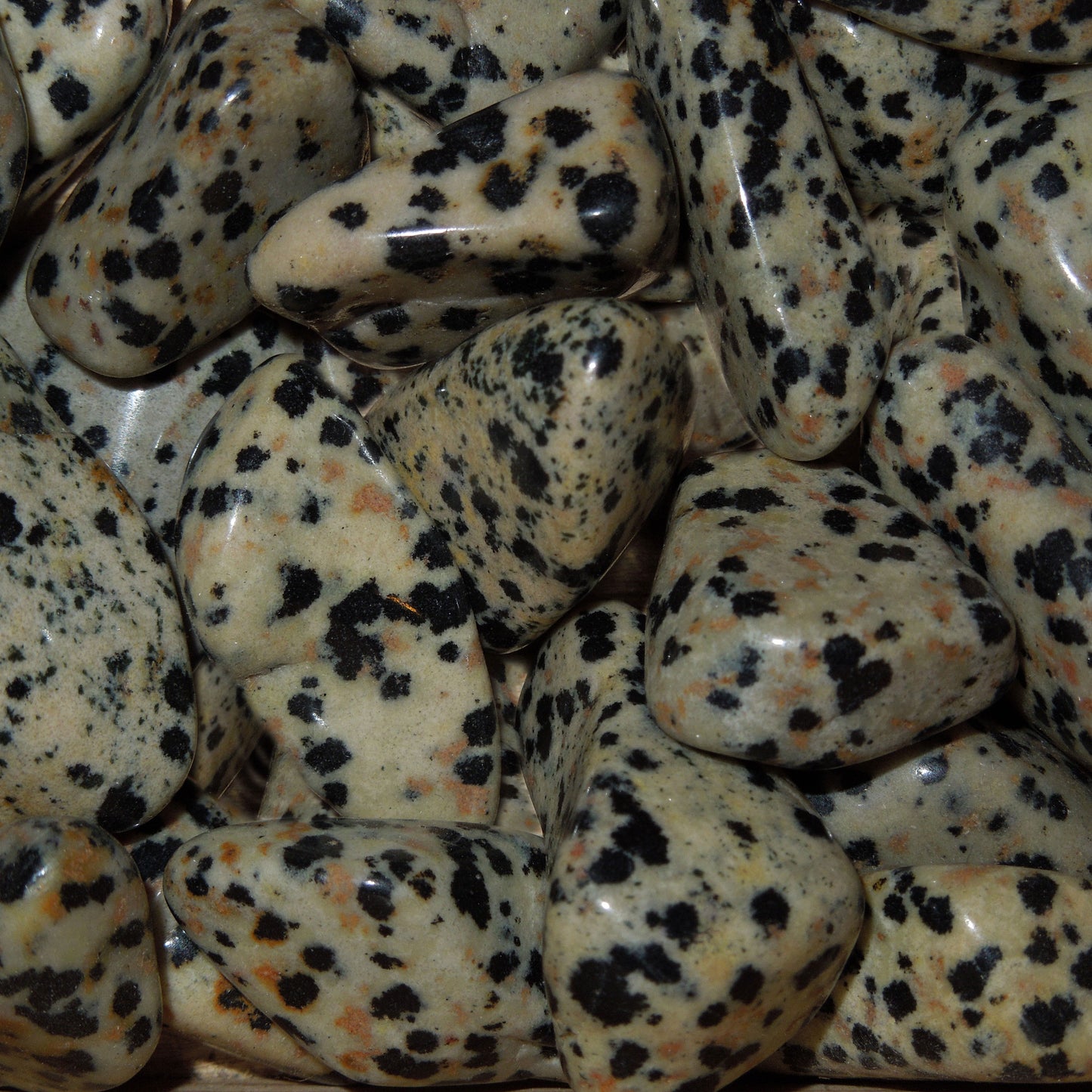 Dalmation Jasper tumble stone