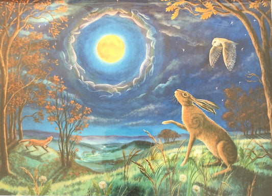 Wendy Andrew - Hare Moon Halo