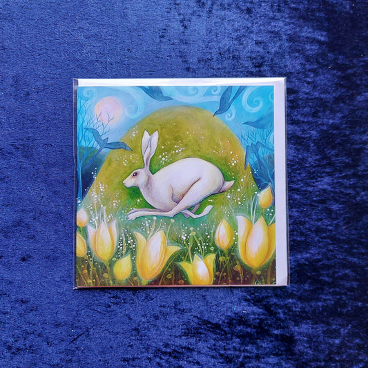 Amanda Clark - Morning Dew