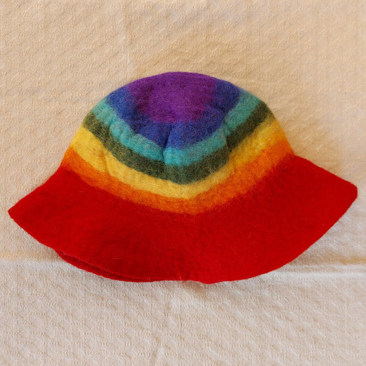 Rainbow Felt Hat