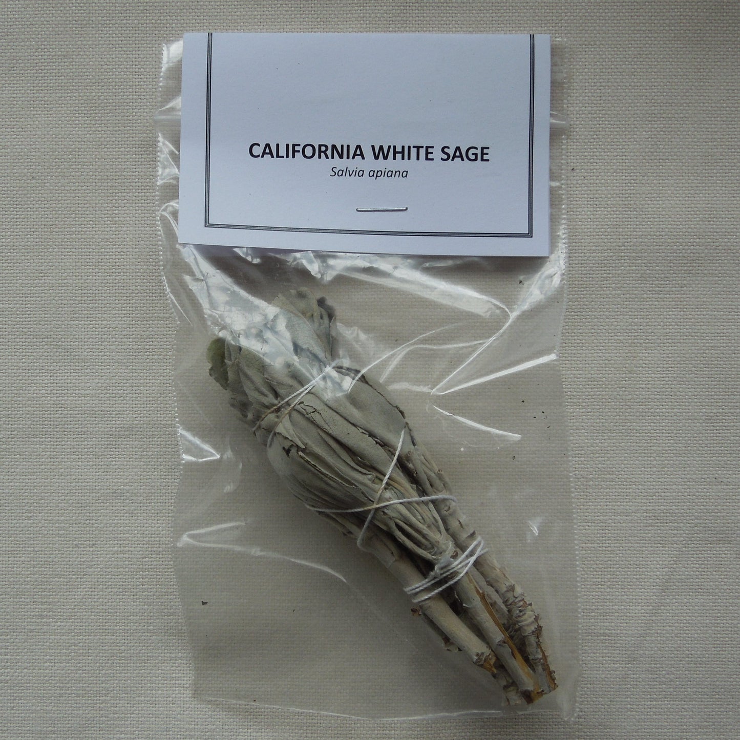 California White Sage