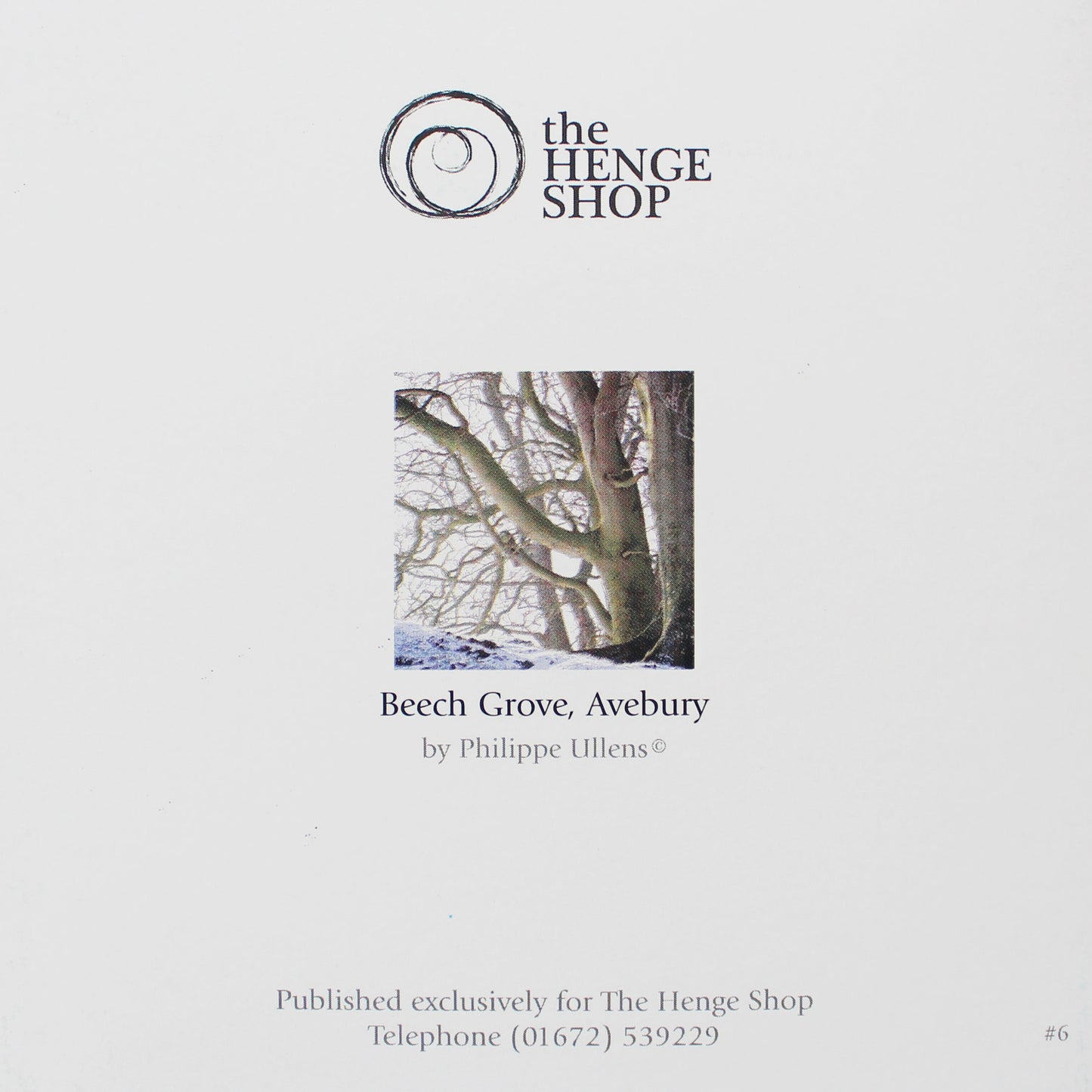 Pack of 8 - Beech Grove