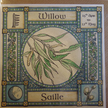 Willow - 15th April - 12th May